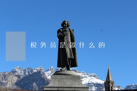 税务员是做什么的 税务员是做什么的