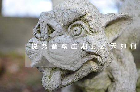 税务备案逾期12天如何处罚 税务备案逾期12天如何处罚