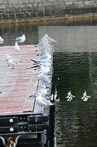 税务备案逾期情况说明 税务备案逾期情况说明