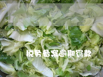 税务备案逾期罚款 税务备案逾期罚款