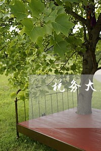 税务大厅补逾期申报