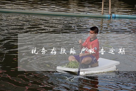 税务存款账户报告逾期 税务存款账户报告逾期