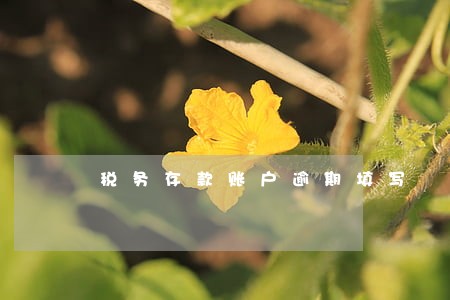 税务存款账户逾期填写 税务存款账户逾期填写