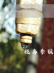 税务季报年报多久算逾期 税务季报年报多久算逾期