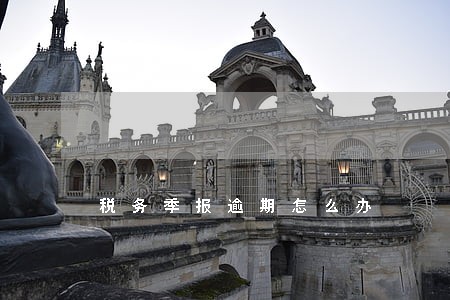 税务季报逾期怎么办 税务季报逾期怎么办