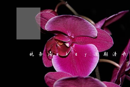 税务局ukey逾期清卡 税务局ukey逾期清卡
