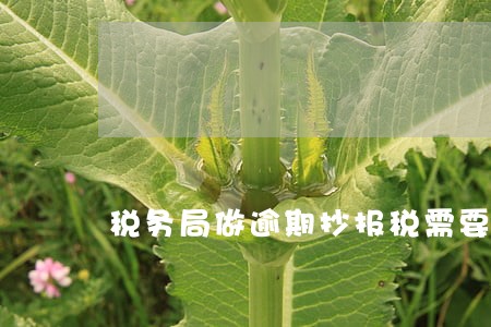 税务局做逾期抄报税需要带什么 税务局做逾期抄报税需要带什么