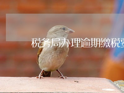 税务局办理逾期缴税要多久会执行 税务局办理逾期缴税要多久会执行