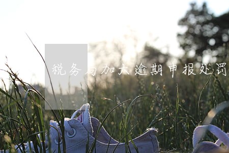 税务局加大逾期申报处罚力度