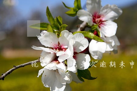 税务局发现多次逾期未申报 税务局发现多次逾期未申报