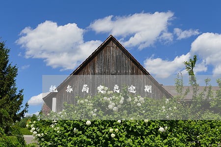 税务局变更逾期 税务局变更逾期
