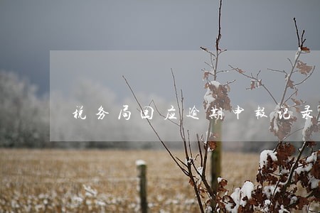 税务局回应逾期申报记录 税务局回应逾期申报记录