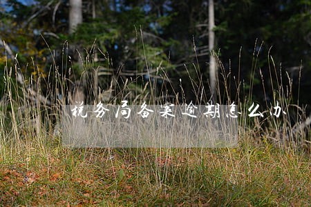 税务局备案逾期怎么办 税务局备案逾期怎么办