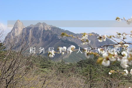 税务局工作人员导致税款逾期 税务局工作人员导致税款逾期