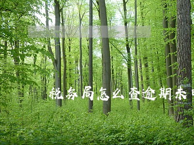 税务局怎么查逾期未申报 税务局怎么查逾期未申报