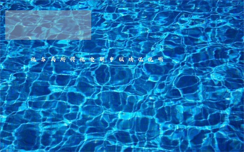 税务局所得税逾期申报情况说明 税务局所得税逾期申报情况说明
