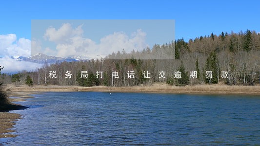 税务局打电话让交逾期罚款 税务局打电话让交逾期罚款