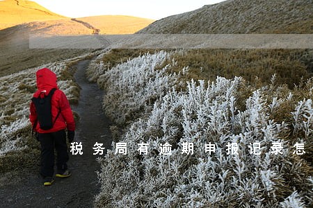 税务局有逾期申报记录怎么办 税务局有逾期申报记录怎么办