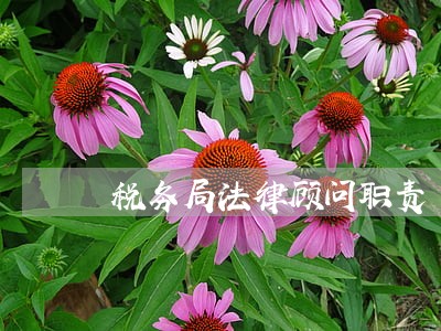 税务局法律顾问职责 税务局法律顾问职责