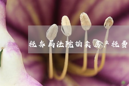 税务局法院拍卖房产税费 税务局法院拍卖房产税费