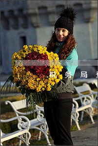税务局登记逾期 税务局登记逾期