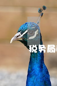 税务局的罚款逾期怎么办 税务局的罚款逾期怎么办