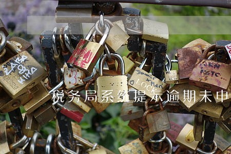 税务局系统提示逾期未申报 税务局系统提示逾期未申报