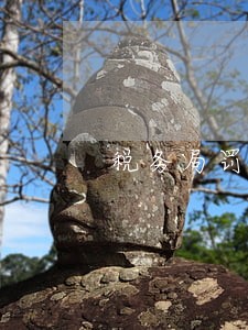 税务局罚款单逾期 税务局罚款单逾期