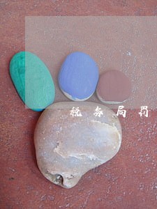税务局罚款逾期咋办 税务局罚款逾期咋办
