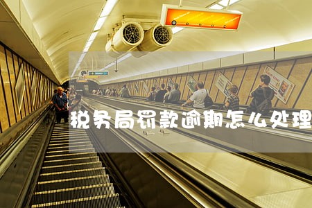 税务局罚款逾期怎么处理 税务局罚款逾期怎么处理