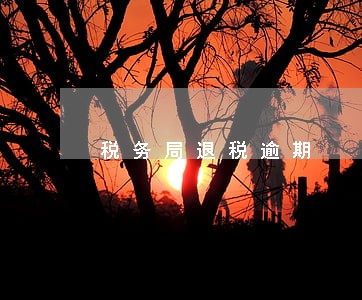 税务局退税逾期 税务局退税逾期