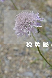 税务局逾期不交罚款吗 税务局逾期不交罚款吗