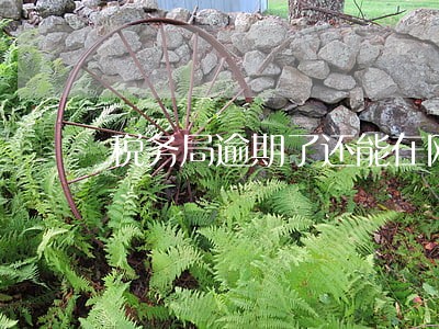 税务局逾期了还能在网上申报吗