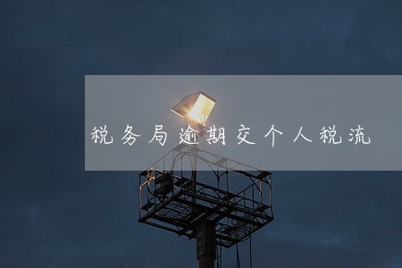 税务局逾期交个人税流