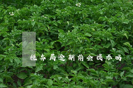 税务局逾期前会提示吗 税务局逾期前会提示吗