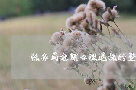 税务局逾期办理退税的整改报告 税务局逾期办理退税的整改报告