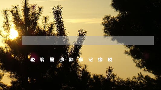 税务局逾期忘记缴税 税务局逾期忘记缴税
