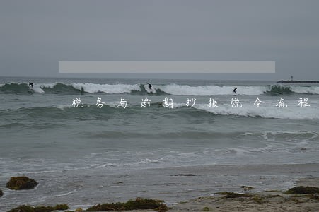 税务局逾期抄报税全流程 税务局逾期抄报税全流程