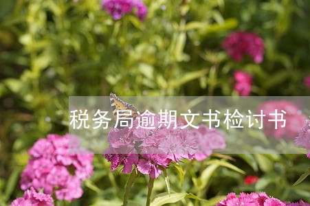 税务局逾期文书检讨书 税务局逾期文书检讨书
