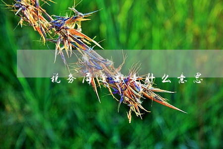 税务局逾期是什么意思