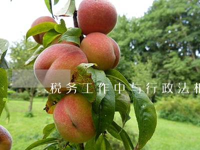 税务工作中与行政法相关