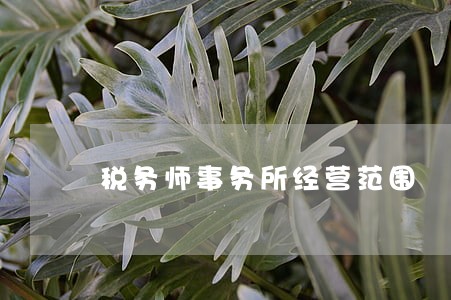 税务师事务所经营范围 税务师事务所经营范围