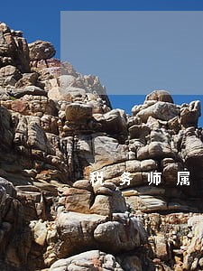 税务师属于什么行业 税务师属于什么行业