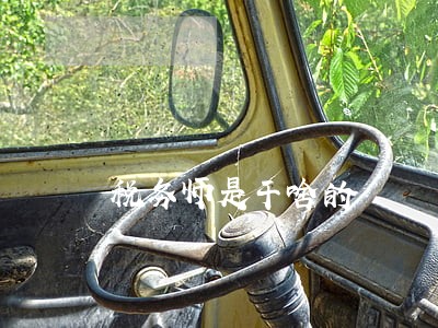 税务师是干啥的 税务师是干啥的