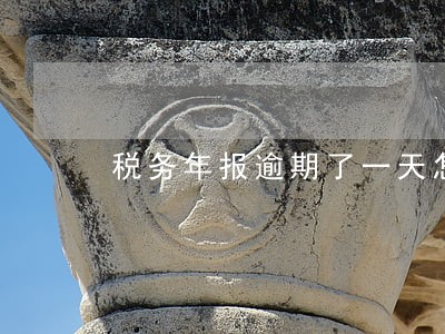 税务年报逾期了一天怎么办 税务年报逾期了一天怎么办