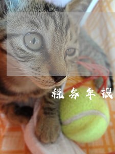 税务年报逾期处罚标准 税务年报逾期处罚标准