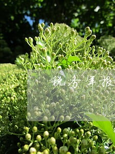 税务年报逾期怎么补报 税务年报逾期怎么补报