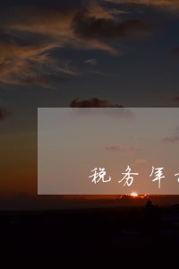 税务年报逾期手工