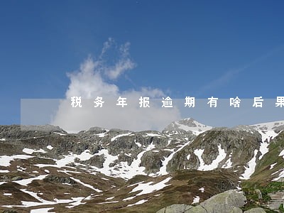 税务年报逾期有啥后果 税务年报逾期有啥后果