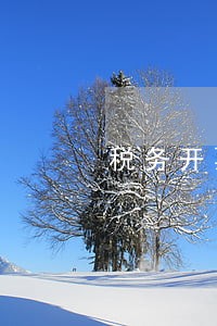 税务开票逾期 税务开票逾期